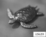 LEALER anagram
