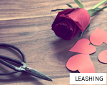 LEASHING anagram