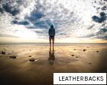 LEATHERBACKS anagram