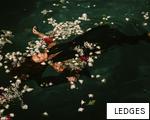 LEDGES anagram