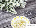 LEDGES anagram