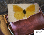 LEND anagram