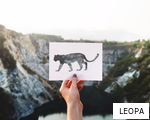 LEOPA anagram