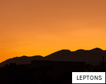 LEPTONS anagram