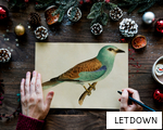 LETDOWN anagram