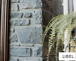 LIBEL anagram
