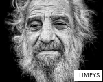 LIMEYS anagram