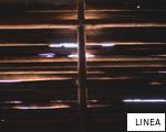 LINEA anagram