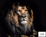 LIO anagram