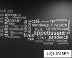 LIQUIDISER anagram