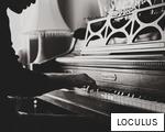 LOCULUS anagram