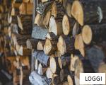 LOGGI anagram
