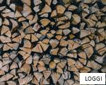 LOGGI anagram