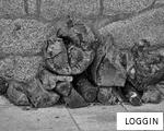 LOGGIN anagram