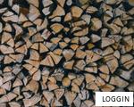 LOGGIN anagram