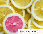 LOGOGRAMMATIC anagram