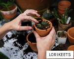LORIKEETS anagram