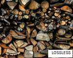 LOSSLESS anagram