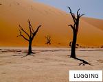 LUGGING anagram