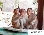 LYCHGATE anagram