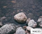 MACES anagram