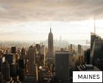 MAINES anagram