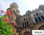 MALAG anagram