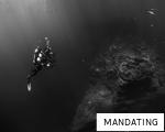 MANDATING anagram