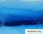 MANDATING anagram