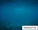 MANDATING anagram