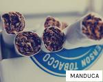 MANDUCA anagram