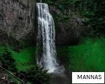 MANNAS anagram