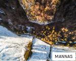 MANNAS anagram