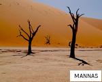 MANNAS anagram