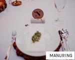 MANURING anagram