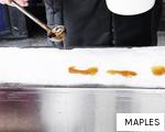 MAPLES anagram