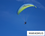 MARASMUS anagram