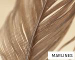 MARLINES anagram