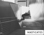 MASTICATES anagram