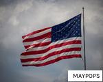 MAYPOPS anagram