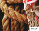 MESH anagram