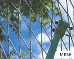 MESH anagram