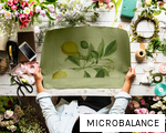 MICROBALANCE anagram