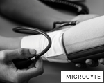MICROCYTE anagram
