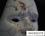 MICROCYTE anagram