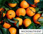 MICRONUTRIENT anagram