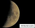 MINUSCULES anagram