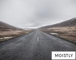 MOISTLY anagram