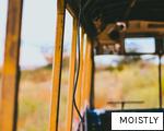 MOISTLY anagram