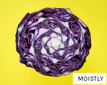 MOISTLY anagram